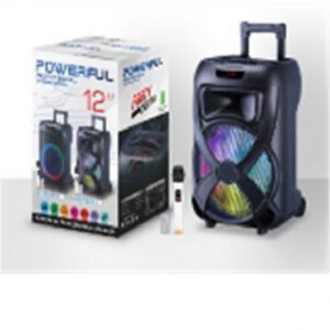 BOCINA ALTAVOZ 12 PULGADAS YE-1216