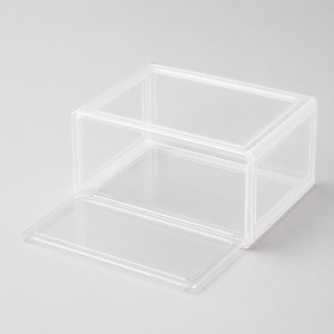 Caja de zapatos individual transparente