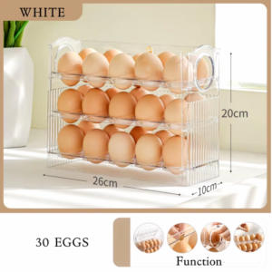 ORGANIZADOR DE HUEVOS DE PLASTICO
