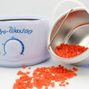 Horno para cera Pro-Wax100