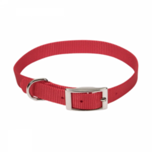 Collar para perros de colores